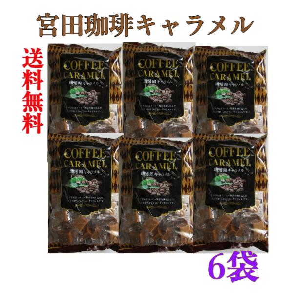 珈琲館キャラメル大粒で少し固めのコーヒーキャラメルです。ほのかな苦味とコーヒーの香ばしい香りの豊かな味が楽しめます。香ばしい味でお得な袋入りでおすすめ