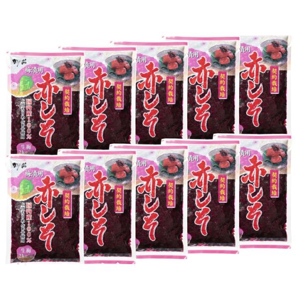 赤しそ　もみしそ　【10袋】梅漬用　国産100％　生梅2ｋｇ用　　神尾食品【送料無料】500ｇ【10袋】かみおの生梅2ｋｇ用、梅漬用「赤しそ」国内産上質ちりめんじそ100％使用。梅漬けはもちろん「しょうが漬け」等にも是非ご利用ください。本商...