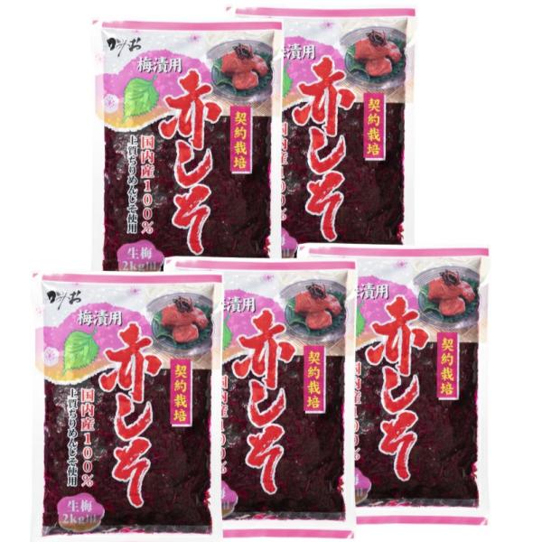 他サイト： 赤しそ　もみしそ　【5袋】梅漬用　国産100％　生梅2ｋｇ用　　神尾食品【送料無料】の商品画像