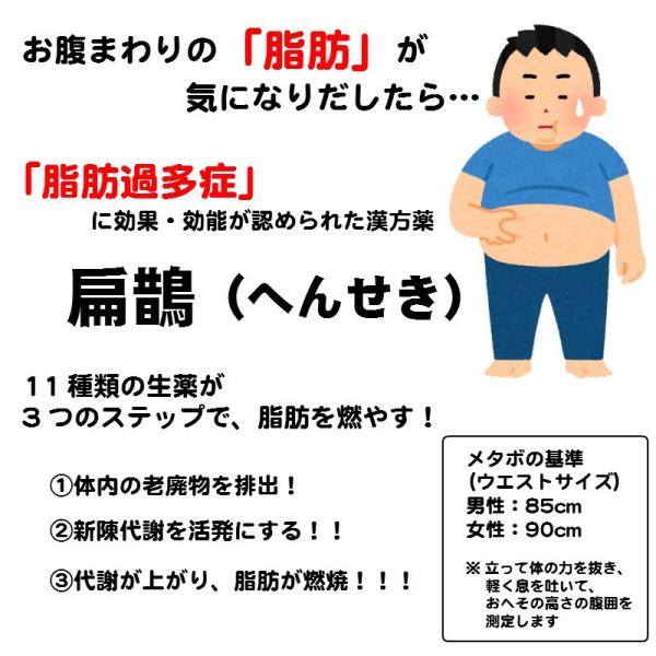 ダイエット やせる 漢方薬 肥満 脂肪燃焼 扁鵲(扁せき・へんせき) 90包〔建林〕《第2類医薬品》 /【Buyee】 ダイエット やせる 漢方薬 肥満 脂肪燃焼 扁鵲(扁せき・へんせき) 90包〔建林〕《第2類医薬品》 /【Buyee】