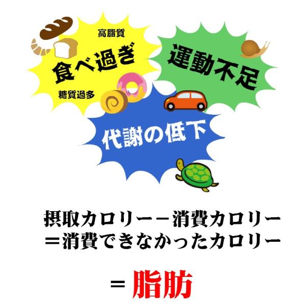 ダイエット やせる 漢方薬 肥満 脂肪燃焼 扁鵲 扁せき へんせき 90包 第2類医薬品 建林松鶴堂 Buyee Buyee Japanese Proxy Service Buy From Japan Bot Online