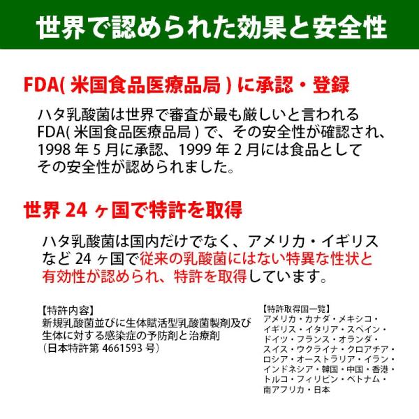 動物用 サプリ 犬 猫 ハタ乳酸菌 For Pets ペット用 60g アレルギー 歯周病 口臭 Ns Buyee Buyee 日本の通販商品 オークションの代理入札 代理購入