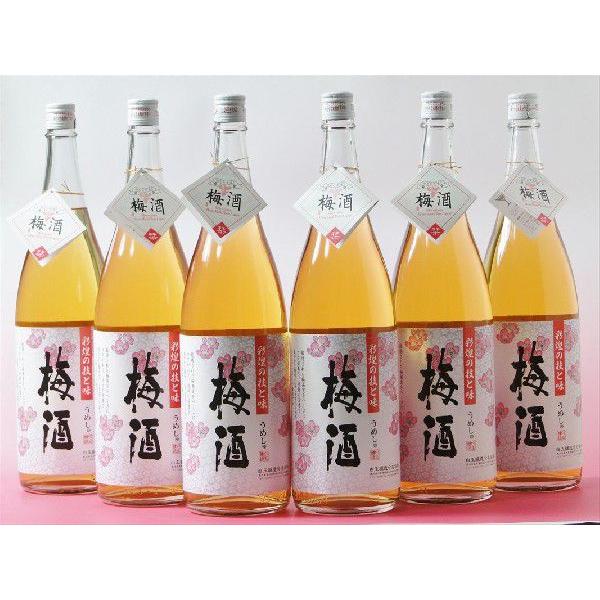 魔王　梅酒　2本　1800ml 魔王 梅酒 2本 1800ml