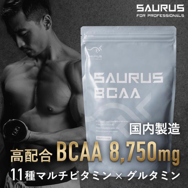 BCAA 【国産】オルニチン 必須アミノ酸 9種配合 BCAA 3000mg OCAA 1000mg 配合 アルギニン シトルリン サウルス SAURUS 朝 トレーニング前 疲労 筋肉 ランニング