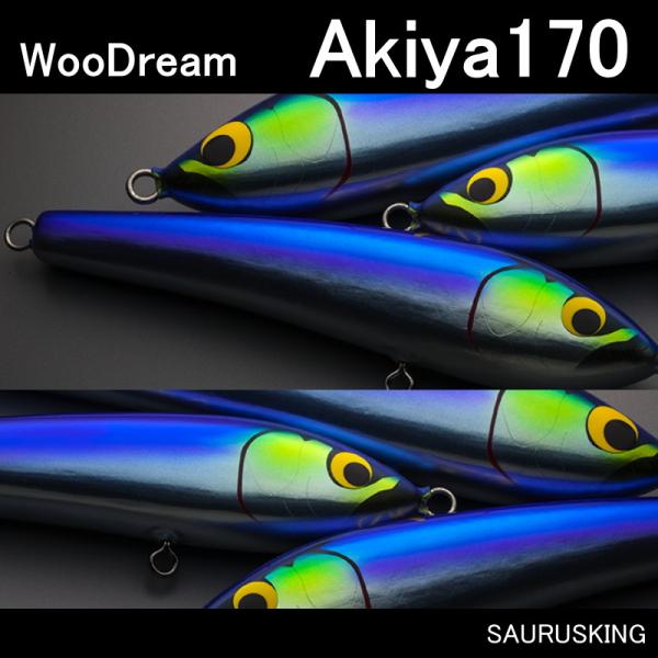WooDream Akiya 170 / アキヤ170 ウッドリーム : SAURUSKING
