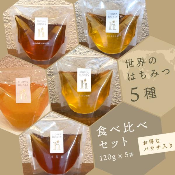 蜂和産業 世界のハチミツ5種 食べ比べセット 120g×5袋 パウチ入り 送料