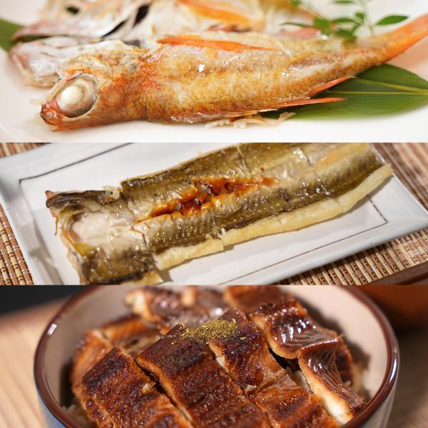 岡富商店 のどぐろ＆あなご2種詰合せ 冷凍便 送料無料(北海道・沖縄・離島を除く)  穴子 アナゴ 干物 熨斗対応可 中元 歳暮