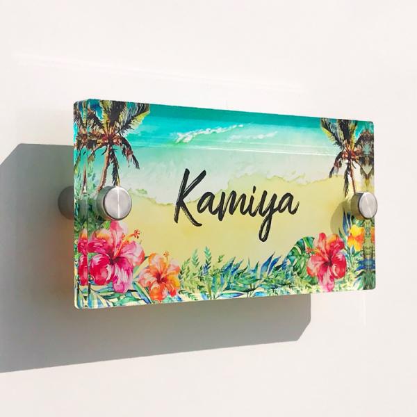 savoia1_homesign-half0029