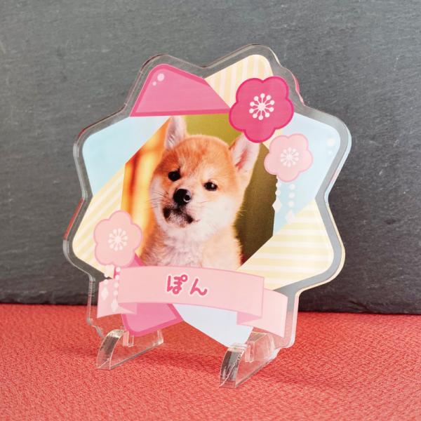 大切なペットの誕生日、記念など、思い出の写真をフォトスタンドにしてみませんか？◆デザイン・朱菊・梅花・桃桜・花菊※背面は白色になります。◆サイズ画像欄からご確認ください。◆素材アクリル※お客様のご入力頂いた内容でお作りします。選択、ご入力内...