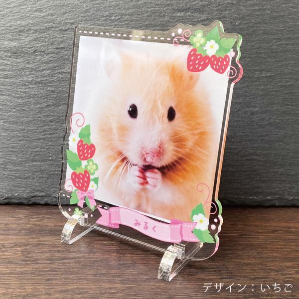 大切なペットの誕生日、記念など、思い出の写真をフォトスタンドにしてみませんか？◆デザインいちごクローバーレインボー星空※背面は白色になります。◆サイズ画像欄からご確認ください。◆素材アクリル※お客様のご入力頂いた内容でお作りします。選択、ご...