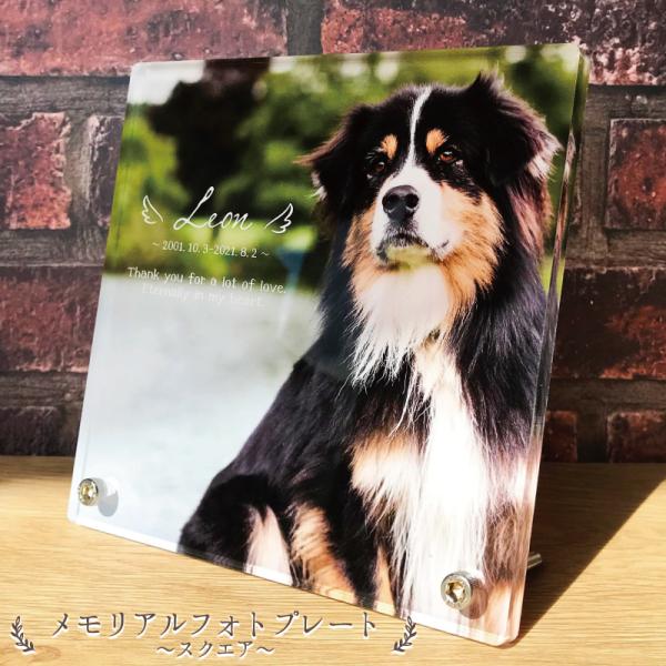 大切なペットのフォトプレートをお作り致します。お気に入りのお写真を直接印刷し、お名前と日付、メッセージが入ります。思い出の写真立てや手元供養にもオススメです。※お客様のご入力頂いた内容でお作りします。選択、ご入力内容にお間違いのないようにご...