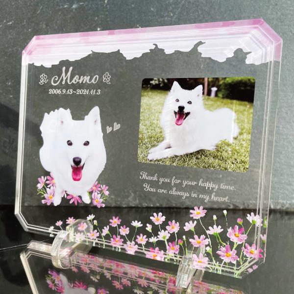 大切なペットの誕生日、記念など、思い出の写真をフォトスタンドにしてみませんか？◆デザインコスモスチューリップさくら２リーフ※背面は白色になります。◆サイズ画像欄からご確認ください。ご希望のサイズをオプション欄からお選びください。◆素材アクリ...