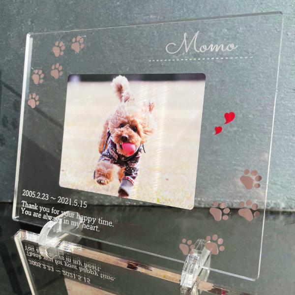 大切なペットの誕生日、記念など、思い出の写真をフォトスタンドにしてみませんか？◆デザインボタニカルフラワーお星さまとお花桜ひまわり肉球オレンジブーケ※背面は白色になります。◆サイズ画像欄からご確認ください。ご希望のサイズをオプション欄からお...