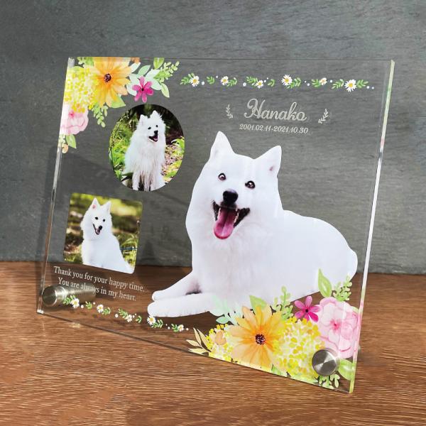 大切なペットの誕生日、記念など、思い出の写真をフォトスタンドにしてみませんか？◆デザインピンクフラワービタミンフラワークラシックスターブーケ肉球フラワー桜※背面は白色になります。◆サイズ画像欄からご確認ください。ご希望のサイズをオプション欄...