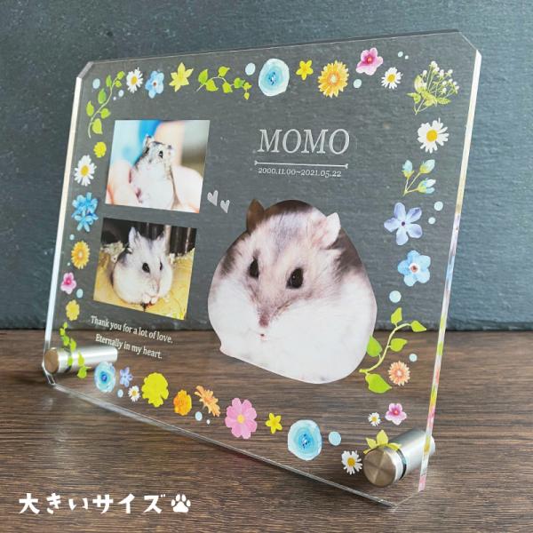 大切なペットの誕生日、記念など、思い出の写真をフォトスタンドにしてみませんか？◆デザインピンクフラワービタミンフラワークラシックスターブーケ肉球フラワー桜※背面は白色になります。◆サイズ画像欄からご確認ください。ご希望のサイズをオプション欄...