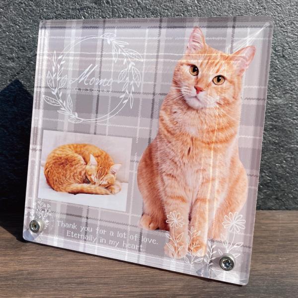 大切なあの子の記念日、思い出、教養、いつまでもそばに感じていられるようなメモリアルフォトプレートです。お気に入りのお写真を1~2枚入れることができ、お名前・日付・メッセージが入れられる特別なフォトプレートになります。【デザイン】・リーフ・チ...