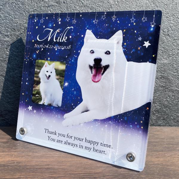 大切なあの子の記念日、思い出、教養、いつまでもそばに感じていられるようなメモリアルフォトプレートです。お気に入りのお写真を1~2枚入れることができ、お名前・日付・メッセージが入れられる特別なフォトプレートになります。【デザイン】・リーフ・チ...