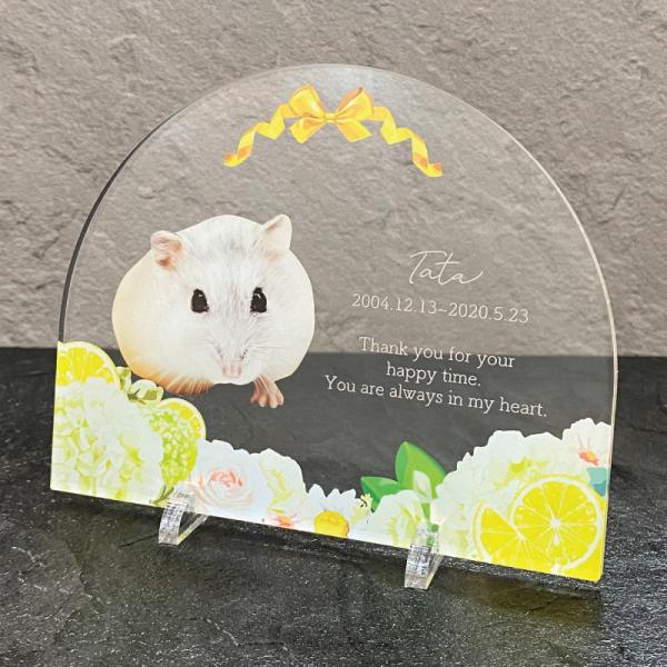 大切なペットの誕生日、記念など、思い出の写真をフォトスタンドにしてみませんか？◆デザイン秋の実りブルーフラワーレモネードローズ陽だまりの花※お写真・デザインなどの背面は白色になります。◆サイズ画像欄からご確認ください。ご希望のサイズをオプシ...