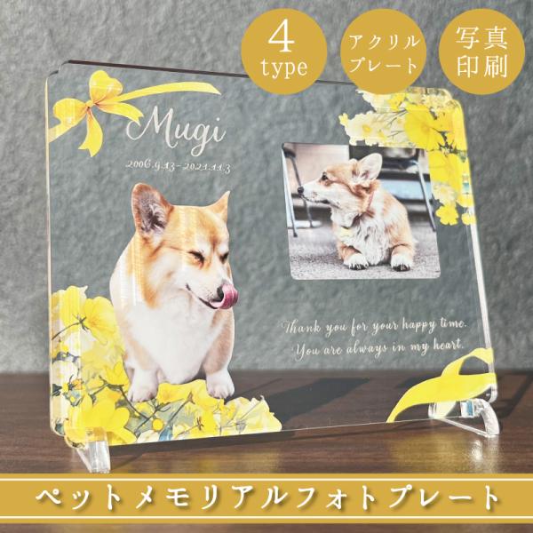 大切なペットの誕生日、記念など、思い出の写真をフォトスタンドにしてみませんか？◆デザインイエローリボンブルーリボンホワイトレースグリーンカーテン※背面は白色になります。◆サイズ画像欄からご確認ください。◆素材アクリル※お客様のご入力頂いた内...