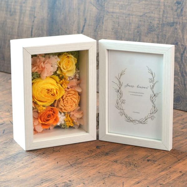 savoia_20240106091036-01930