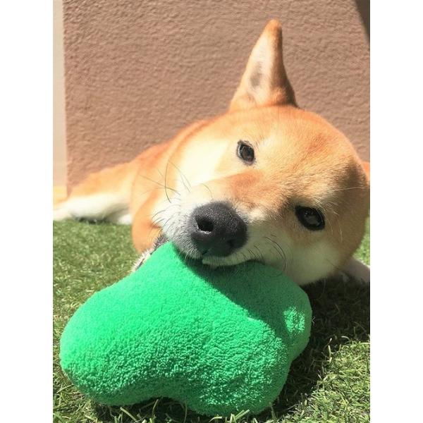 犬用おもちゃ ブロッコリー 可愛い ペットトイ 犬のおもちゃ ストレス解消 音がなる 緑 ワンちゃん しゃかしゃか Dogtoy Broccoli エクスプレスジャパン 通販 Yahoo ショッピング