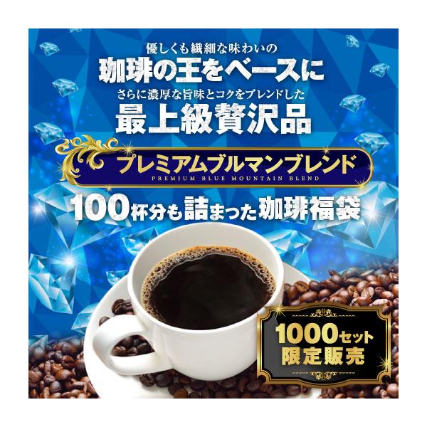 【内容量】 レギュラコーヒー プレミアムブルマンブレンド 500g×2袋
