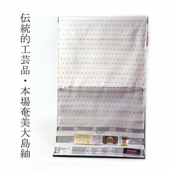 本場奄美大島紬 桝屋儀兵衛 白大島 真綿糸入り ドット 裄76cmまで 