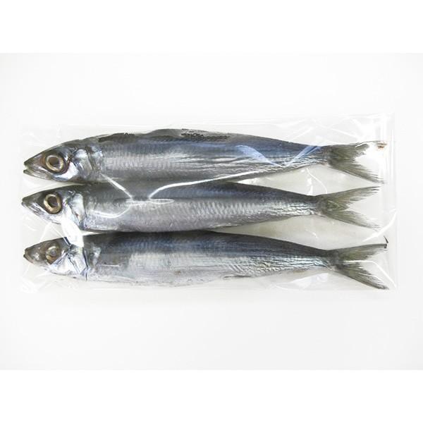 一本釣りうるめいわしセット 1日干 炙りたたき オイルサーディン ぶっかけ漬け丼 冷凍 Buyee 日本代购平台 产品购物网站大全 Buyee一站式代购 Bot Online