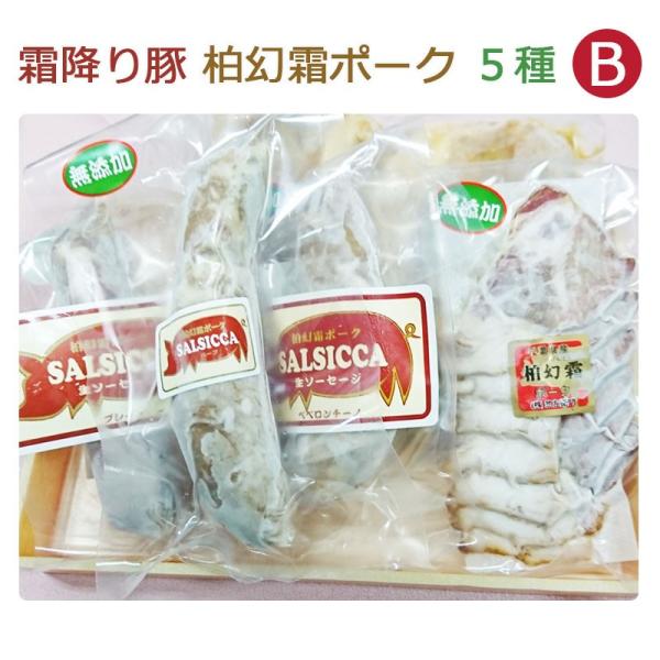 霜降り豚 柏幻霜ポーク 5種セットb サルシッチャ2種 パンチェッタ ロース味噌漬け 炭火焼チャーシュー Www Wearefromdust Org