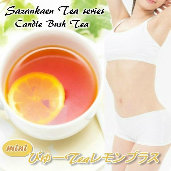 ポイント消化 お試し 送料無料 ダイエット レモンティー ぽっきり 300 円 :beauty-pts:山茶花園ヤフー店 - 通販 - Yahoo!ショッピング ポイント消化 お試し 送料無料 ダイエット レモンティー ぽっきり 300 円 :beauty-pts:山茶花園ヤフー店 - 通販 - Yahoo!ショッピング