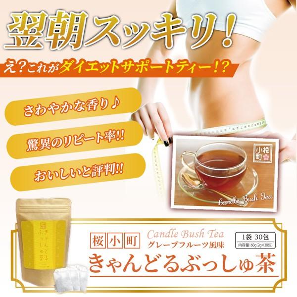 ダイエット 茶 キャンドルブッシュ グレープフルーツ 紅茶 30包 送料無料 Candlebushtea G02 山茶花園 Sazankaen ヤフー店 通販 Yahoo ショッピング