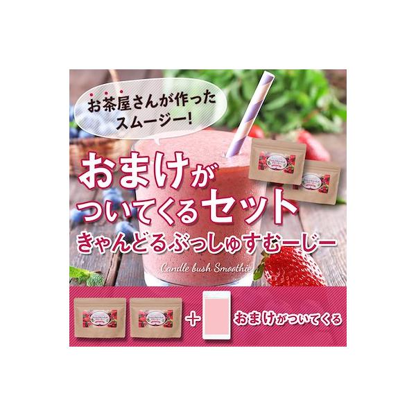 オマケ付き！ベリー スムージー2個セット 酵素 コエンザイムQ10 新発売 送料無料　キャンドルブッシュ