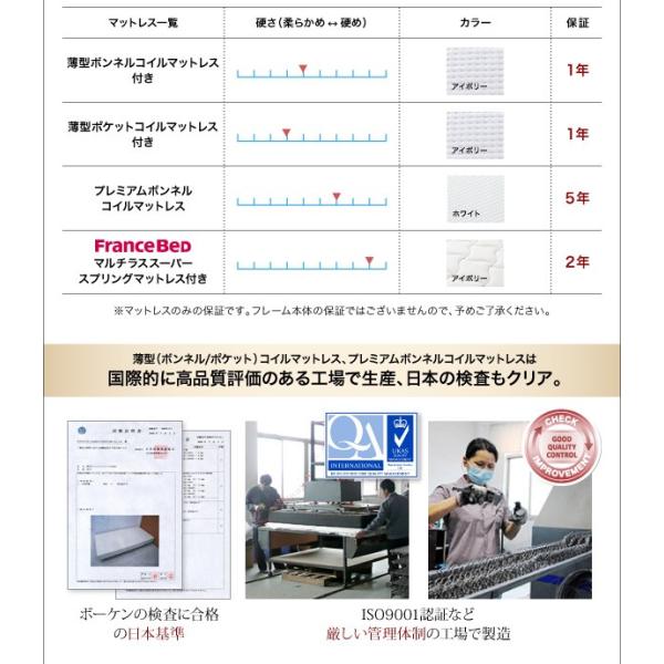 開梱設置 無料 跳ね上げベッド Free Gate ベッドフレームのみ 縦開き シングル 深さグランド 独特な店超爆安