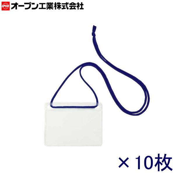 I[vH CxgpD NL-11-BU hTCY RF  10