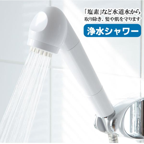 ガイアの水　シャワーヘッド　カートリッジ 2個 2個セット】ガイアの水 ビビアン シャワーヘッド カートリッジ