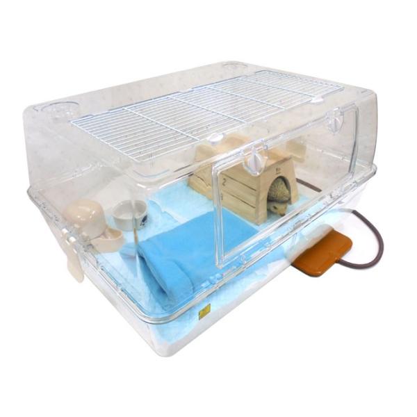 sbspet_harihuyu-r-1031 sbspet_harihuyu-r-1031
