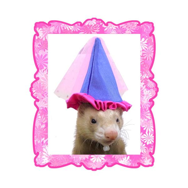 ピンクのレースが可愛い異国のお姫様をイメージしたフェレット用帽子です。生地の表面も光沢があり、キラキラしていて綺麗です。ハロウィーンの仮装や記念撮影におすすめ。長さの調節できるゴム紐つき。【サイズ】高さ（約）130ｍｍｘ幅（約）110ｍｍ※...