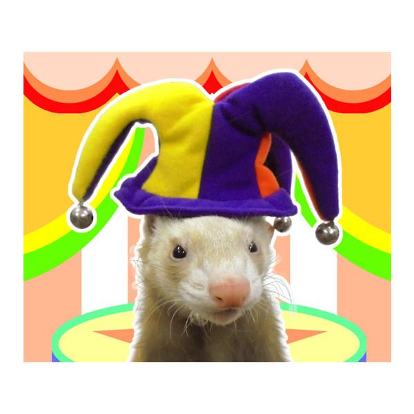 リンリンと鈴が鳴る愉快なピエロのフェレット用帽子です。ハロウィーンの仮装や記念撮影におすすめ。長さを調節できるゴム紐付きで簡単に装着することができます。【サイズ】高さ（約）80ｍｍｘ幅（約）140ｍｍ※ペットがストレスにならないよう、長時間...