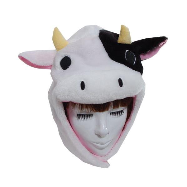  CAP(Xqj EV  SAZACiTUbNj