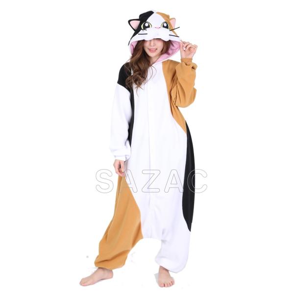  lp OуlR t[X SAZAC(TUbN)