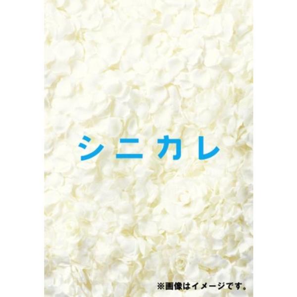シニカレ完全版 ブルーレイBOX Blu-ray