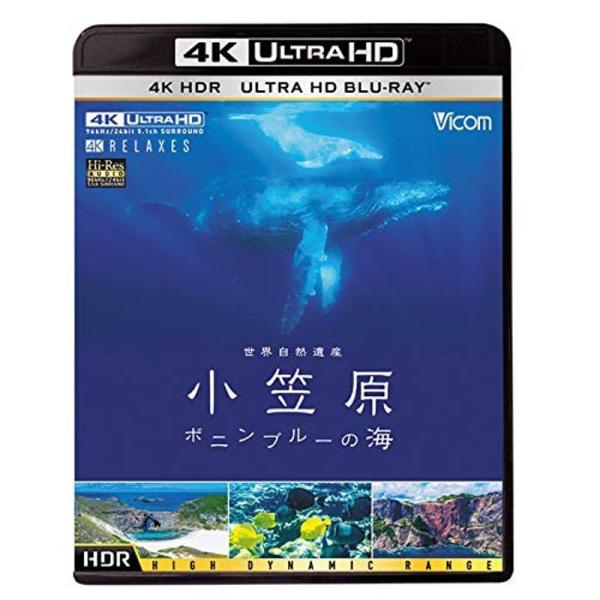 世界自然遺産 小笠原 4K・HDR~ボニンブルーの海~ Ultra HD Blu-ray: 商品のタイトル【中古品】(中古品)＝使用済み中古品です。画像の商品はサンプル画像です。実際に届く商品と異なりますのでご了承下さいませ。※中古品のため...