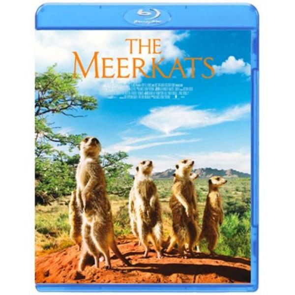 ミーアキャット Blu-ray: 商品のタイトル【中古品】(中古品)＝使用済み中古品です。画像の商品はサンプル画像です。実際に届く商品と異なりますのでご了承下さいませ。※中古品のため、商品のコンディション、ケース、説明書等の付属品の有無につ...