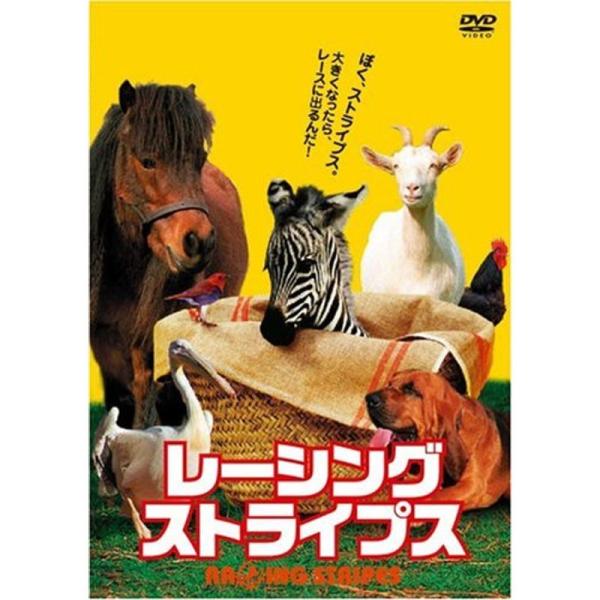 レーシング・ストライプス DVD