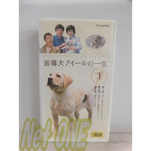 盲導犬クイールの一生 1 VHS: 商品のタイトル【中古品】(中古品)＝使用済み中古品です。画像の商品はサンプル画像です。実際に届く商品と異なりますのでご了承下さいませ。※中古品のため、商品のコンディション、ケース、説明書等の付属品の有無に...