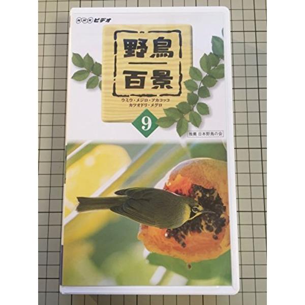 野鳥百景 第9巻 VHS: 商品のタイトル【中古品】(中古品)＝使用済み中古品です。画像の商品はサンプル画像です。実際に届く商品と異なりますのでご了承下さいませ。※中古品のため、商品のコンディション、ケース、説明書等の付属品の有無については...