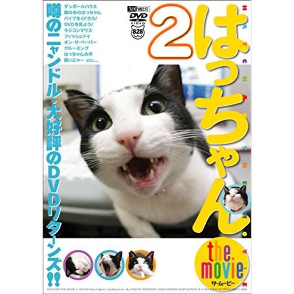 シンフォレストDVD はっちゃん the movie 2 噂のニャンドル・大好評のDVDリターンズ: 商品のタイトル【中古品】(中古品)＝使用済み中古品です。画像の商品はサンプル画像です。実際に届く商品と異なりますのでご了承下さいませ。※中...