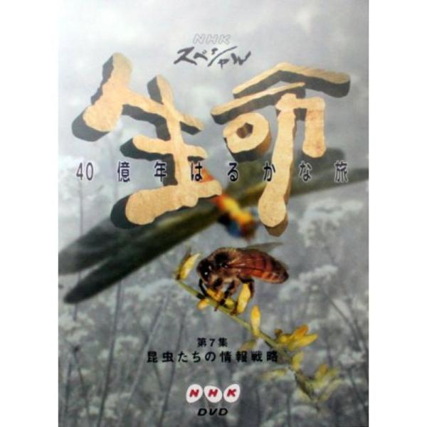NHKスペシャル 生命40億年はるかな旅 第7集:昆虫たちの情報戦略 DVD: 商品のタイトル【中古品】(中古品)＝使用済み中古品です。画像の商品はサンプル画像です。実際に届く商品と異なりますのでご了承下さいませ。※中古品のため、商品のコン...