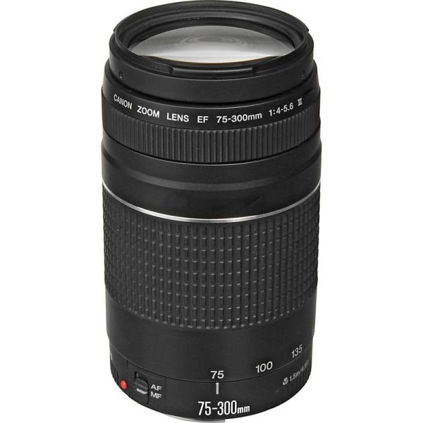 CANON 望遠レンズ　EF 75-300 1.4-5.6 EF75-300mm F4-5.6 IS USM - キヤノンカメラミュージアム