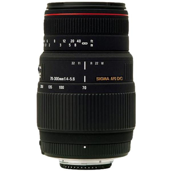 SIGMA 望遠ズームレンズ APO 70-300mm F4-5.6 DG MACRO キヤノン用